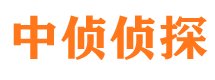 君山市婚外情调查